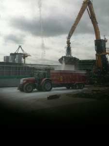 QM/14 being Loaded with Grain at the Docks